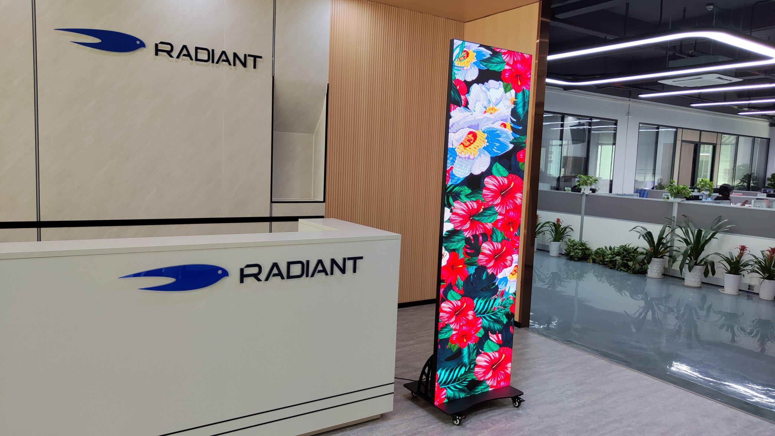 Curved LED Screen